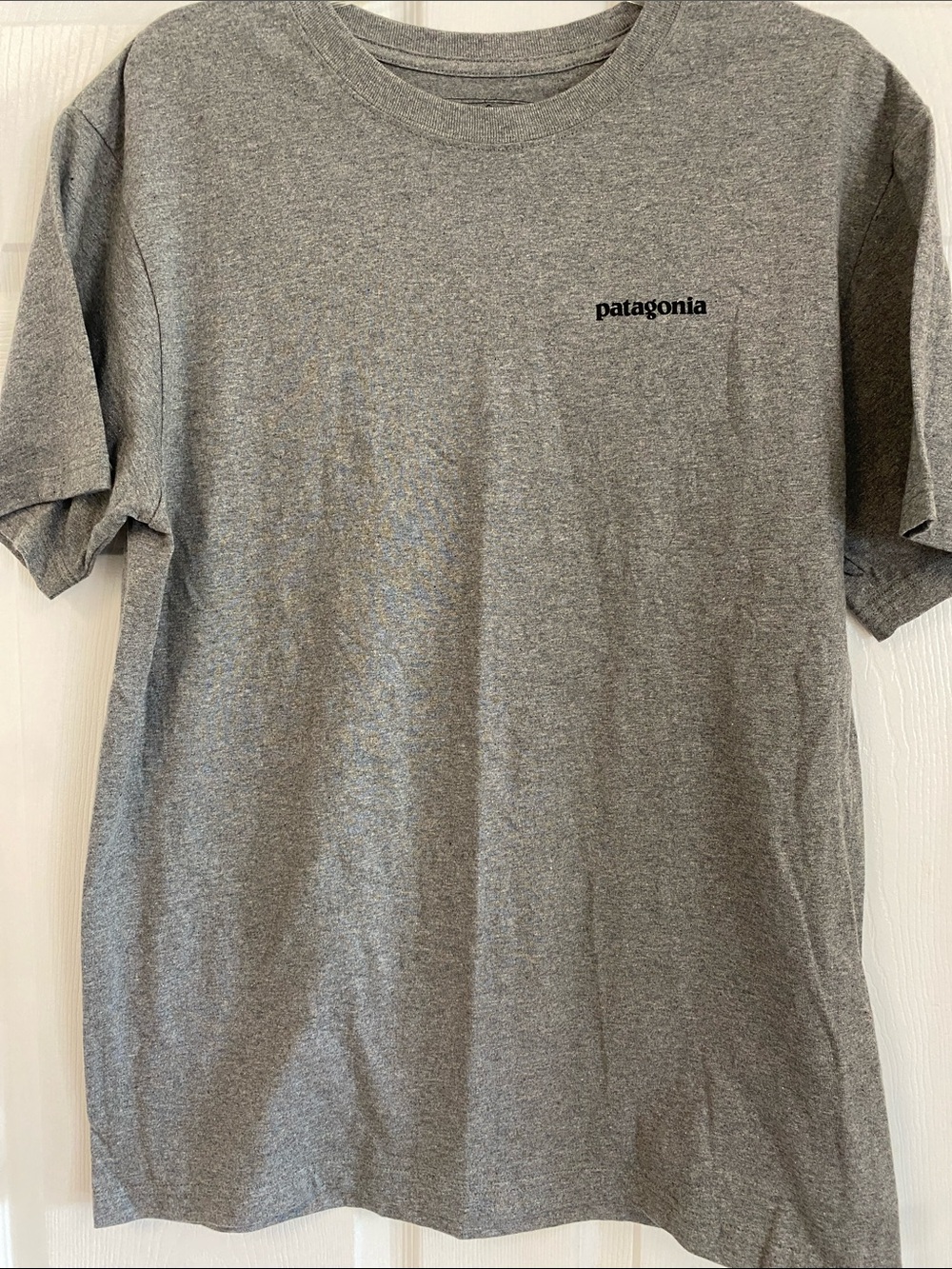 Patagonia Short-Sleeve Tee in Heather Gray with Small Logo